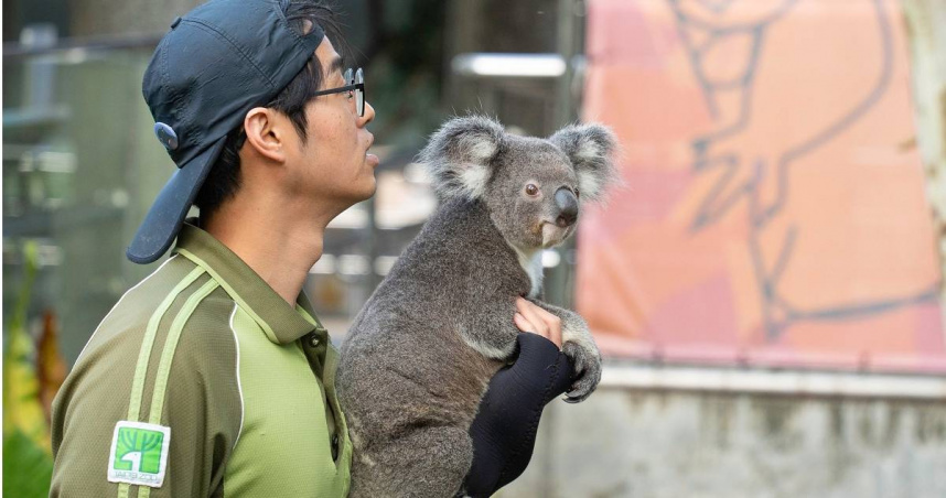 公立動物園保育員薪資將在明年調漲。（圖／Taipei Zoo 臺北市立動物園臉書）